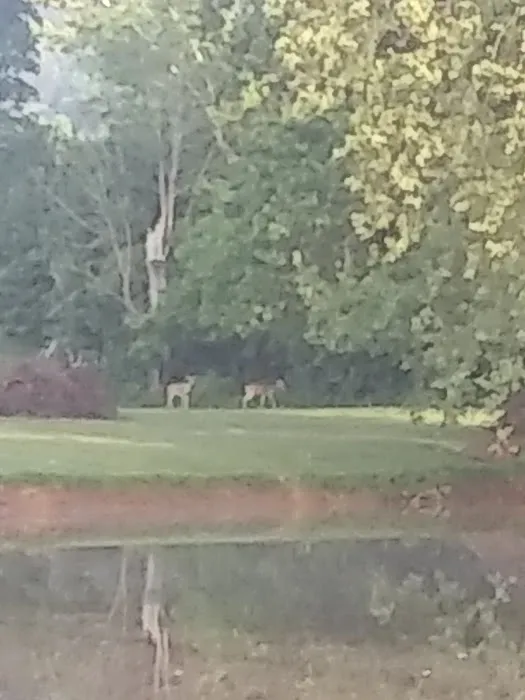 Country Roads Park Inc Picture 10