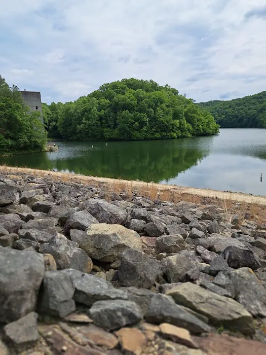 US Army Corps of Engineers Picture 5