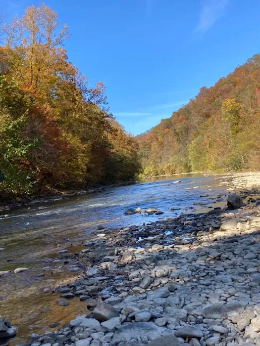 Hillbilly Rentals Resort & Campground Picture 1