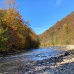 Hillbilly Rentals Resort & Campground