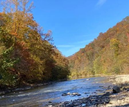Hillbilly Rentals Resort & Campground