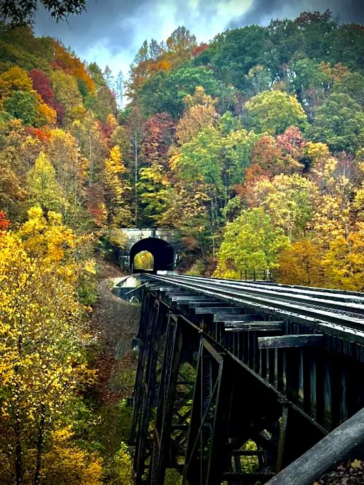 Hillbilly Rentals Resort & Campground Picture 10