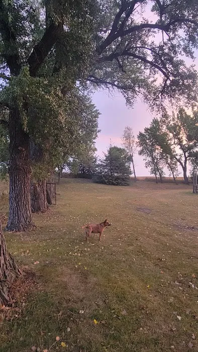 Carthage City Park (Campground) Picture 4