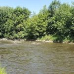 Appleton Lions Park Campground