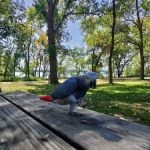 BIG STONE LAKE STATE PARK CAMPGROUND
