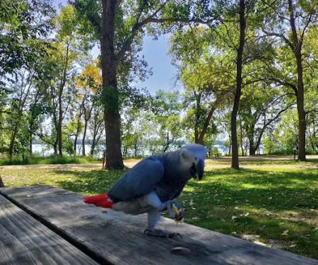 BIG STONE LAKE STATE PARK CAMPGROUND