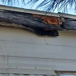 Riggin Trailer Court