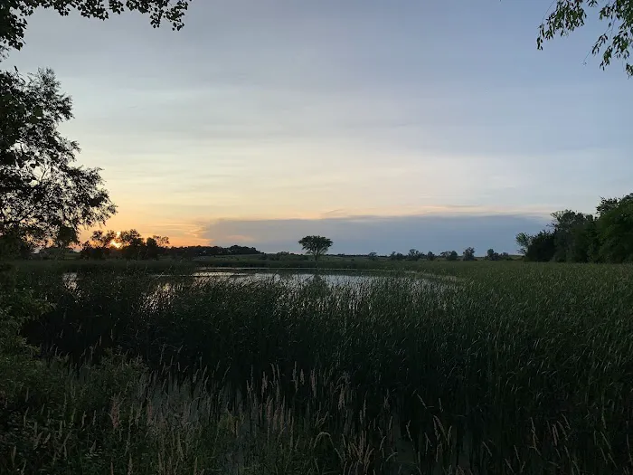 Memorial Park Camping Area Picture 6