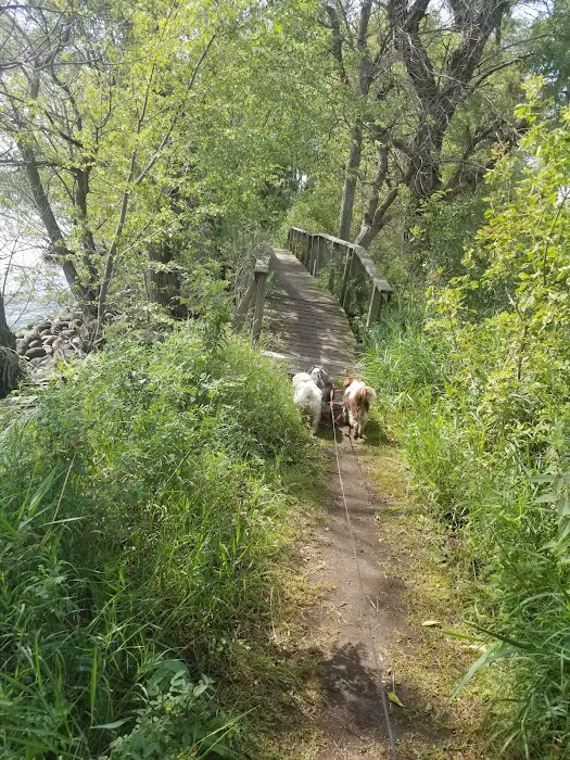 Memorial Park Camping Area Picture 10