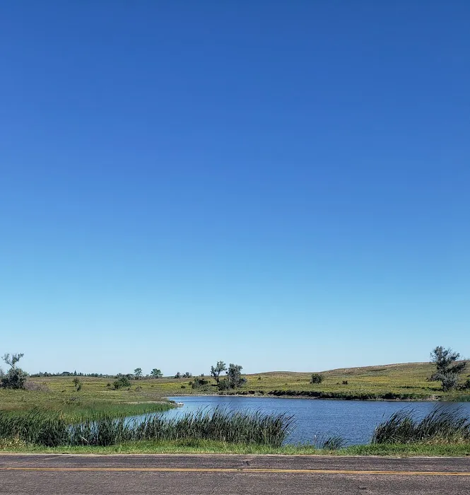 Memorial Park Camping Area Picture 8