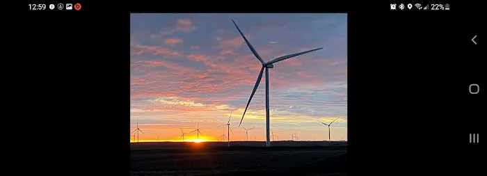 Camp David Picture 3