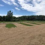Wiste Campground
