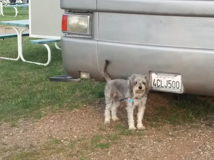 Rondees Campground Picture 2