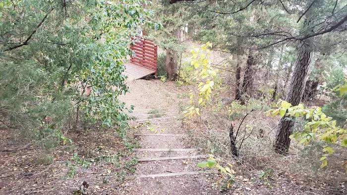 Lake Mitchell Campground Picture 9