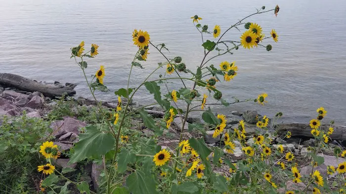 Burbach Campground Picture 2