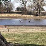 Prairie Oasis RV Park