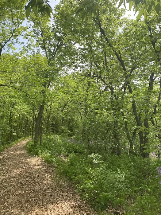 George H Clayton Campground Picture 1