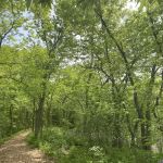 George H Clayton Campground