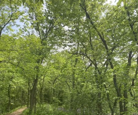 George H Clayton Campground
