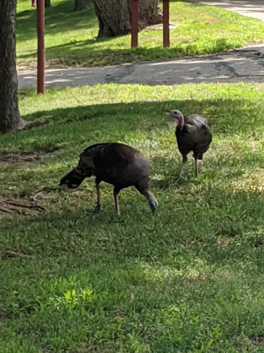 Hall County Park Picture 1