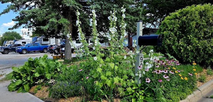 Hastings RV Park Picture 7