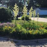 Hastings RV Park