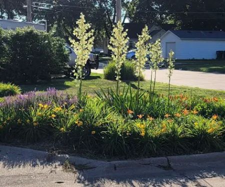Hastings RV Park