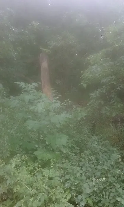 Crystal Lake Campground Picture 8