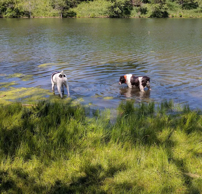Crystal Lake Campground Picture 9
