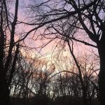 Harbine Park Campground