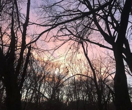 Harbine Park Campground