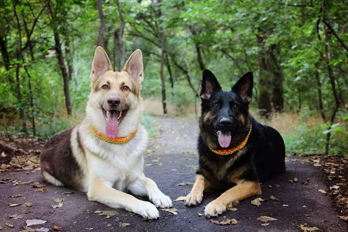 Lincoln Park Campground Picture 4