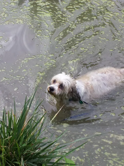 Lincoln Park Campground Picture 10