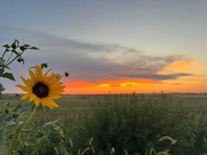 Rusty Nickel Ranch RV Picture 2