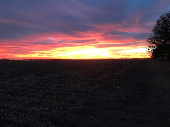 Sunset View Trailer Court Picture 9