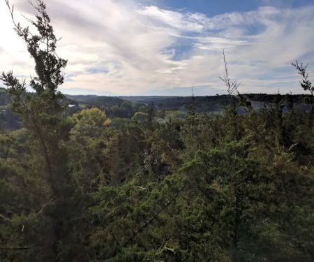 Miller Creek Campground - Lewis and Clark SRA