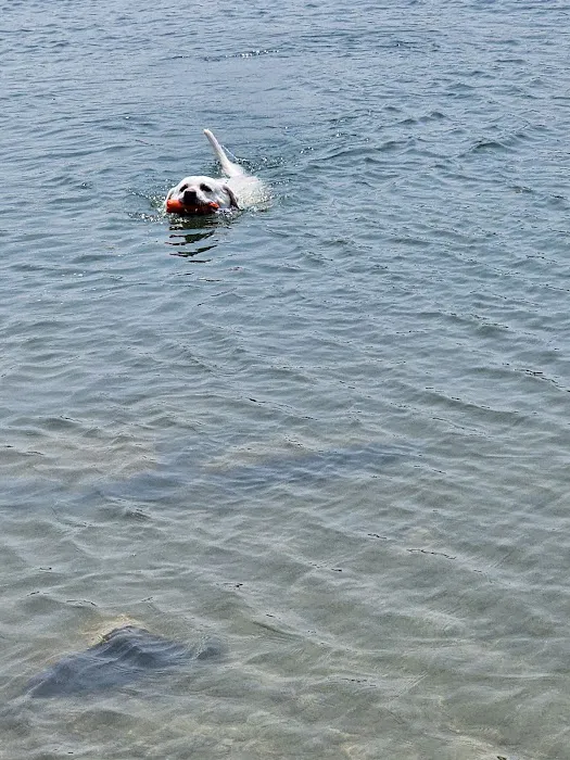 Pottawatomie Lake camping Picture 3