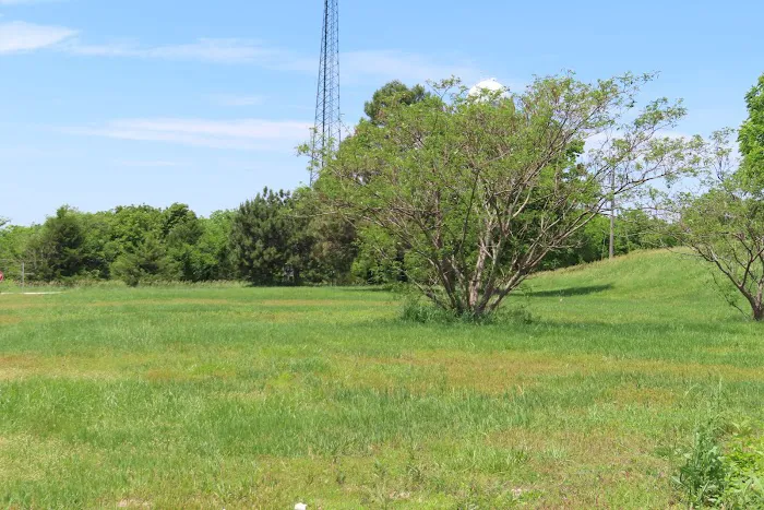 The Ridge RV Park Picture 9