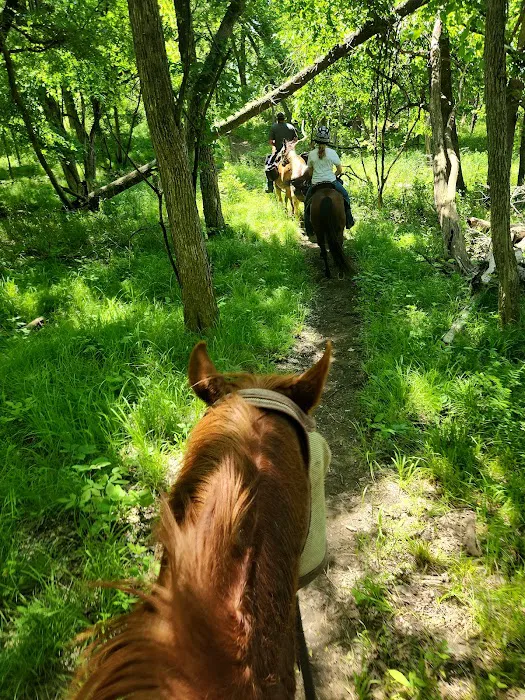 Wild Horse Campground Picture 4