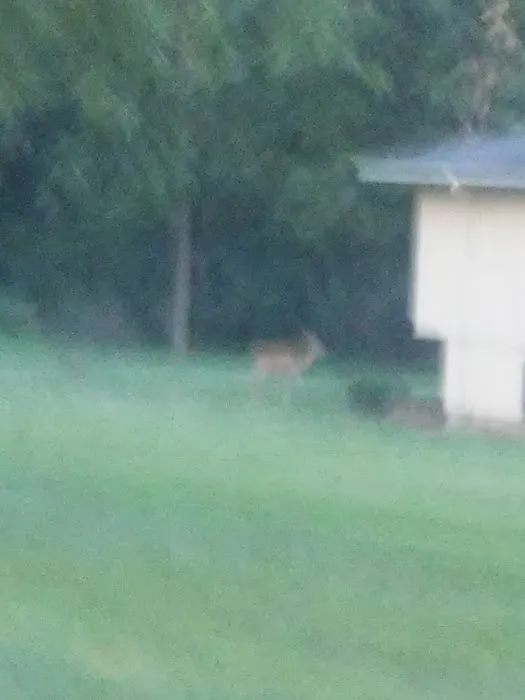 Oak Lane Mobile Home Park Picture 8