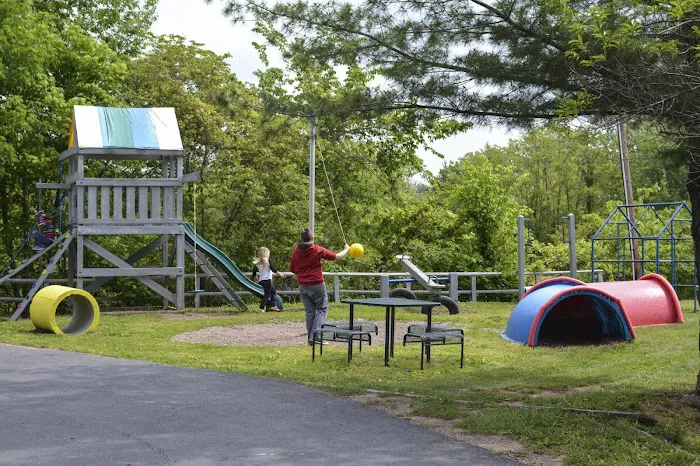 Basswood Resort Picture 10