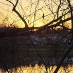 Suncatcher Lake RV Park