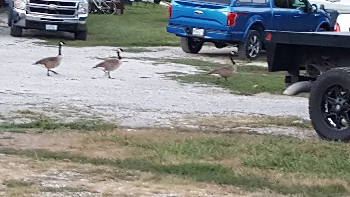 Suncatcher Lake RV Park Picture 9