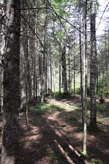 Finland Campground Picture 5