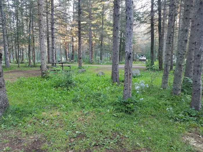 Eckbeck Campground Picture 2