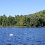 North Egge Lake Camp