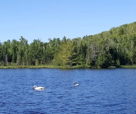 North Egge Lake Camp