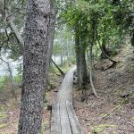 Manitou Backpack Campsite #20