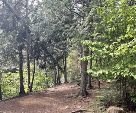Manitou Backpack Campsite #4