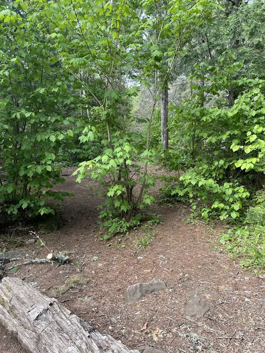 Manitou Backpack Campsite #4 Picture 4